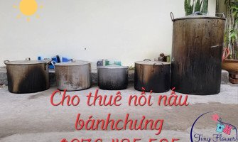 Cho thuê nồi luộc bánh chưng giá rẻ
